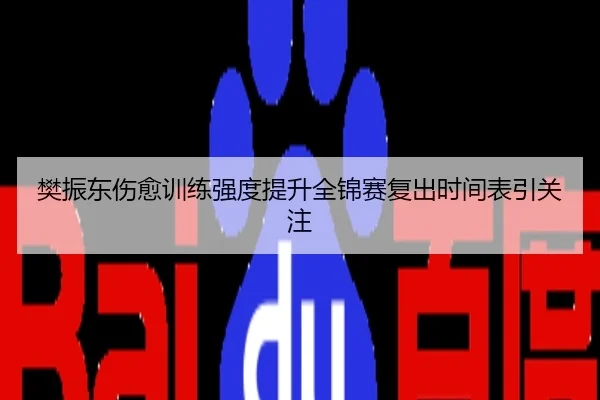 樊振东伤愈训练强度提升全锦赛复出时间表引关注